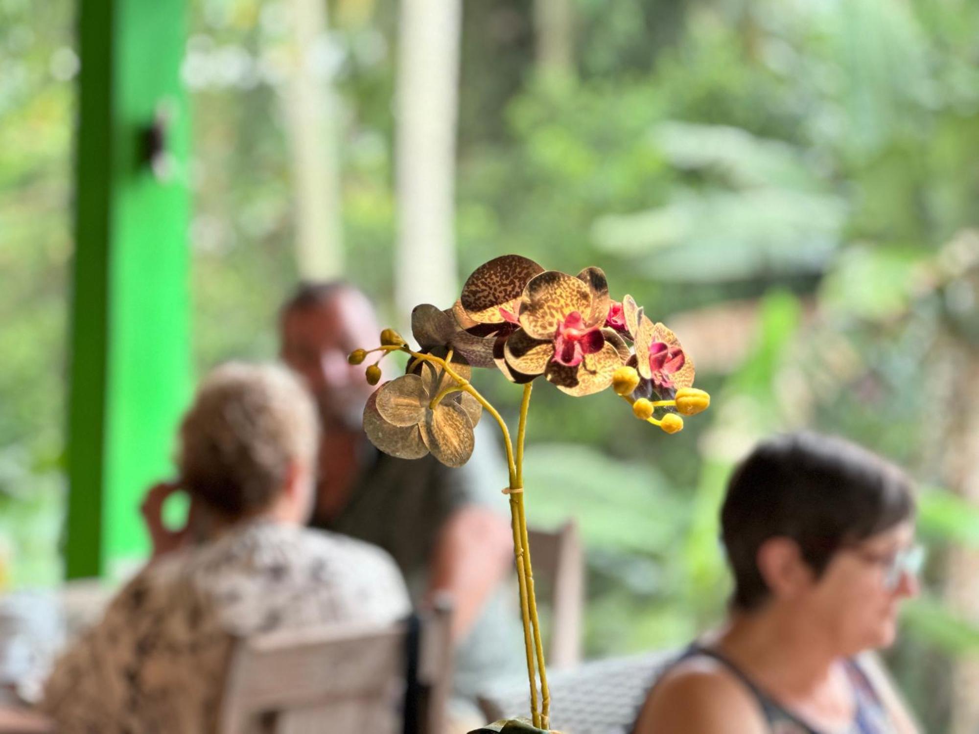 Dupa Ubud Екстер'єр фото