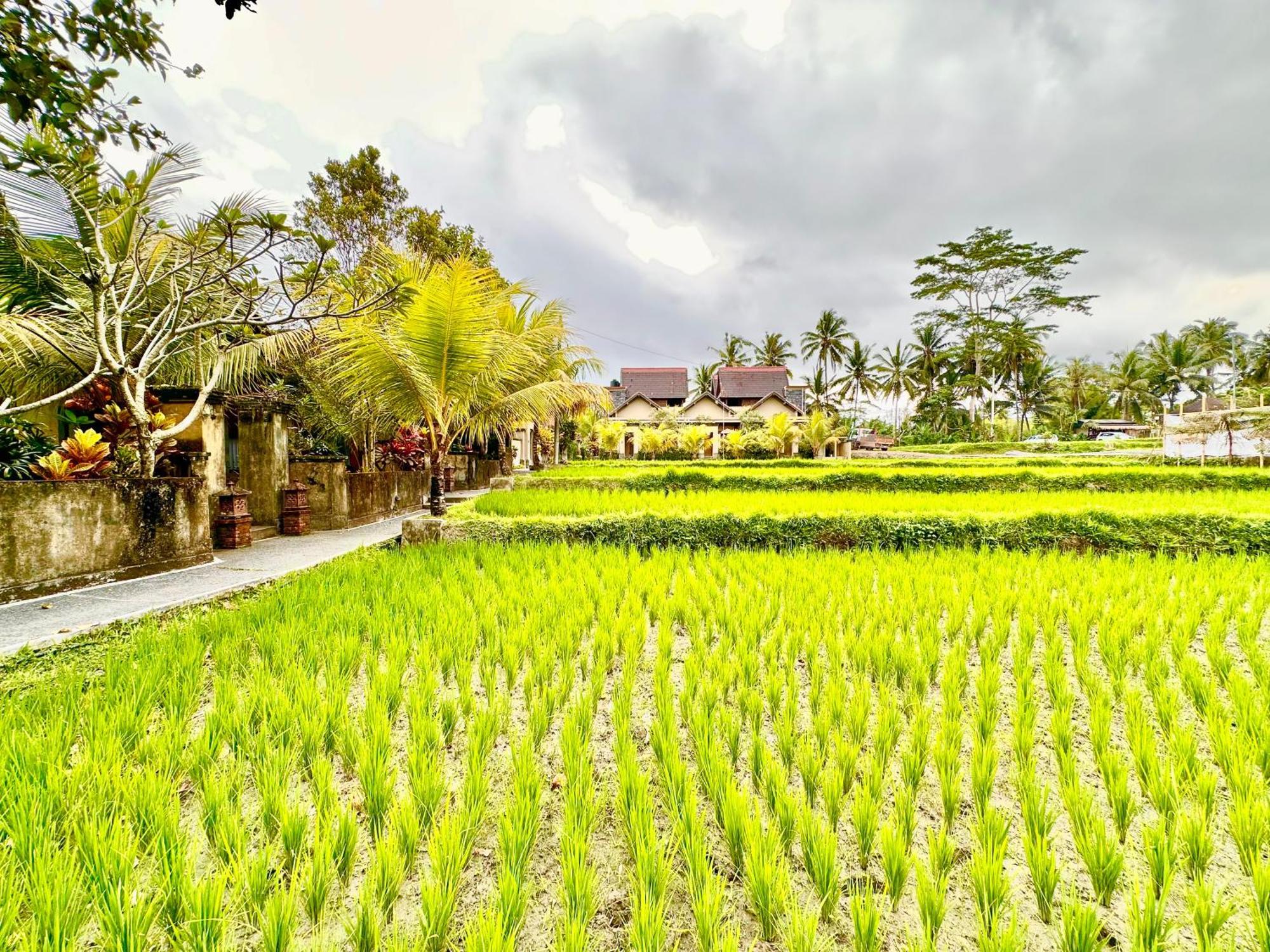 Dupa Ubud Екстер'єр фото