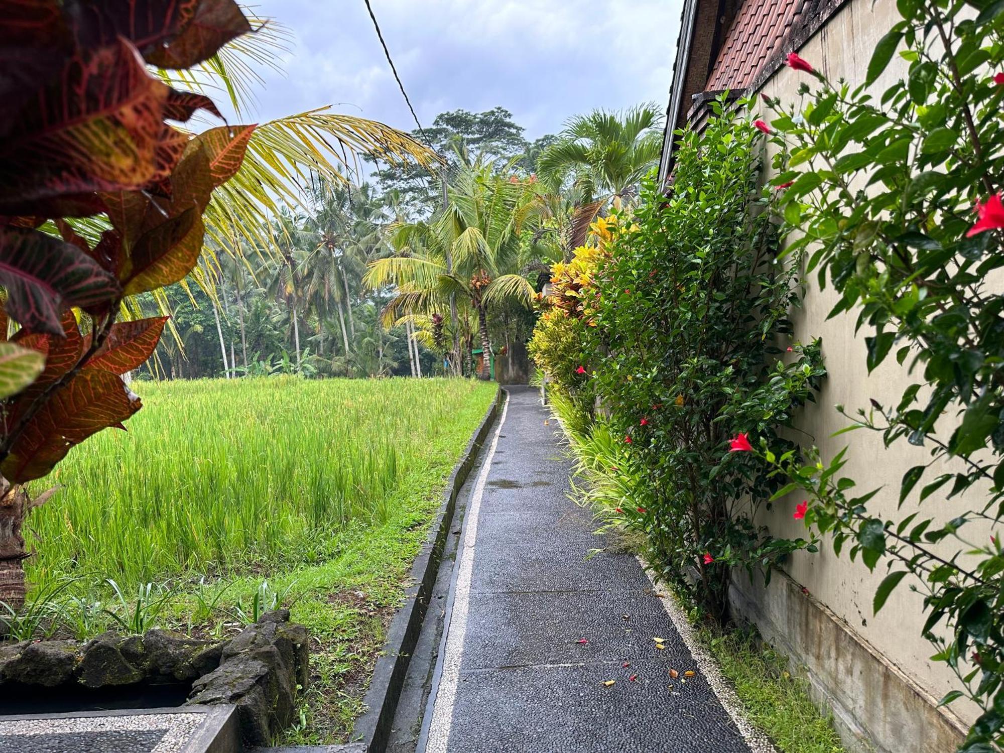 Dupa Ubud Екстер'єр фото