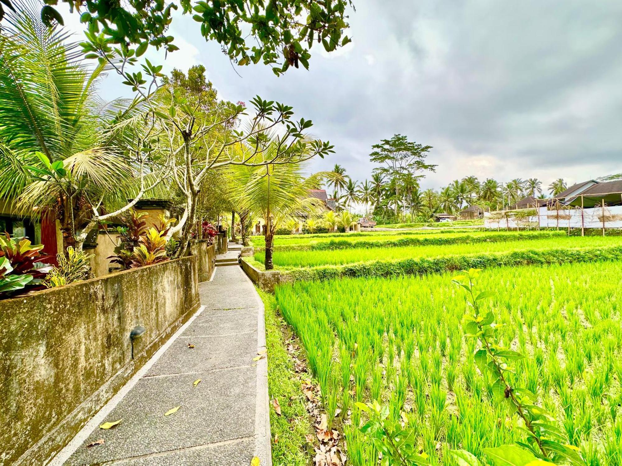Dupa Ubud Екстер'єр фото