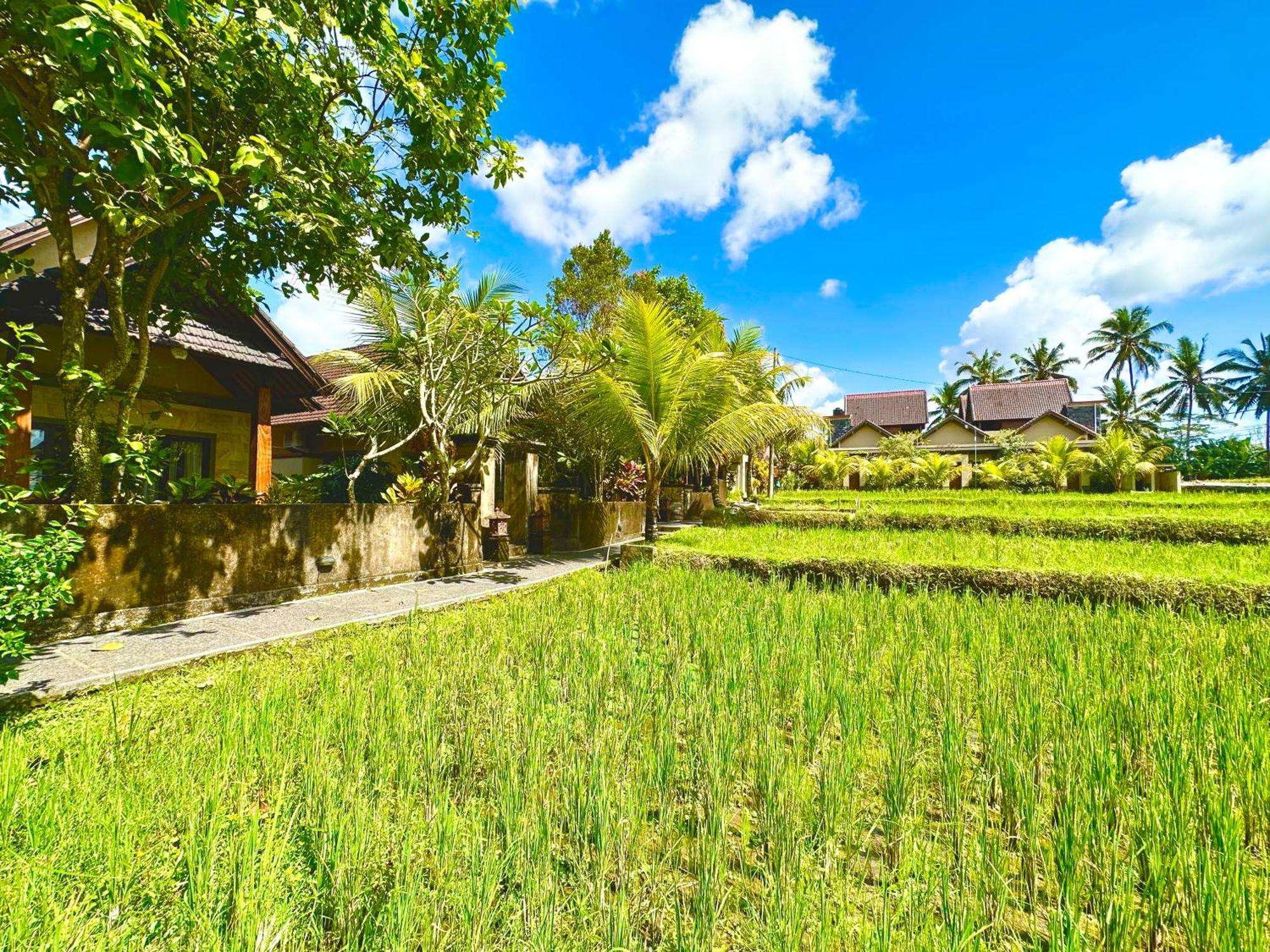 Dupa Ubud Екстер'єр фото